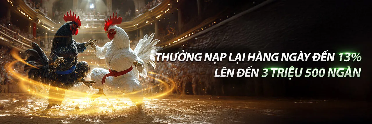 Hình ảnh đá gà trực tuyến sôi động tại TR888 Nhà Cái